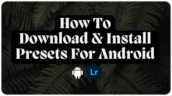 How To Install Mobile Lightroom Presets On Android (2024)