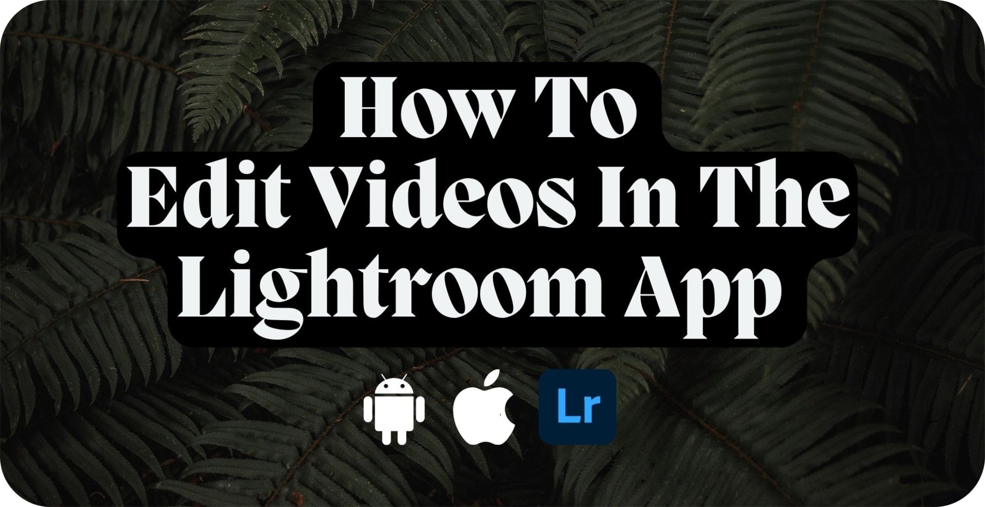 How To Edit Videos In The Lightroom App 2023 - Lou & Marks Presets