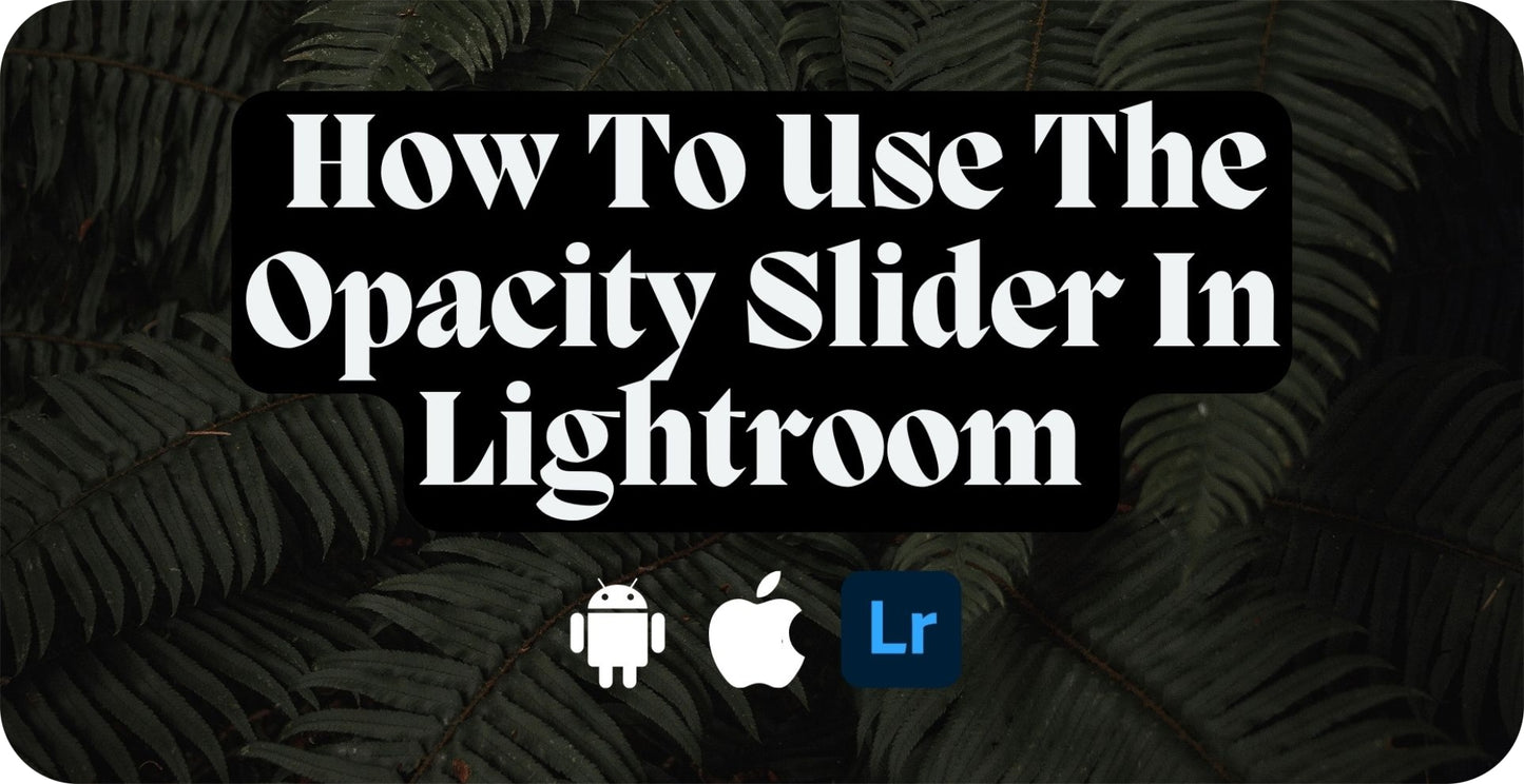 How To Use The Opacity Slider In Lightroom