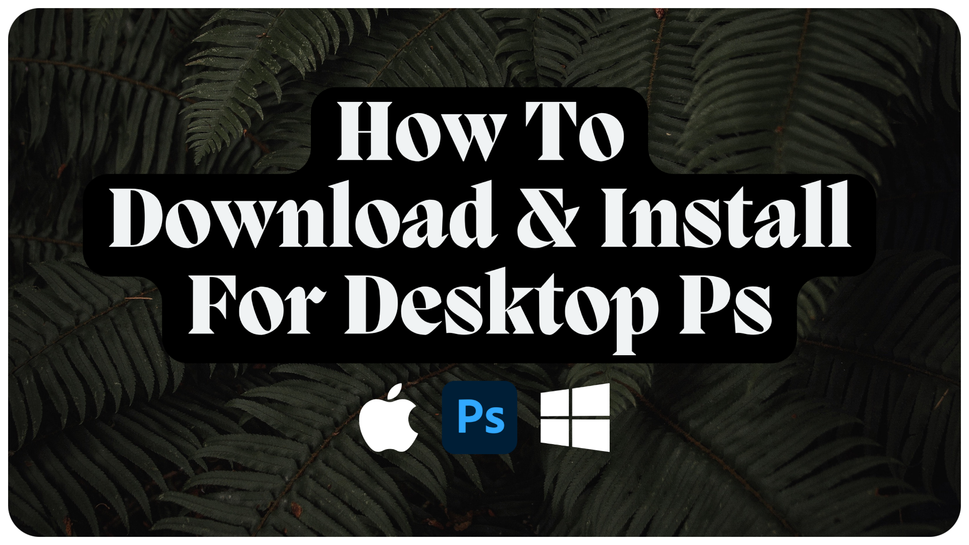 Photoshop Install - Lou & Marks Presets