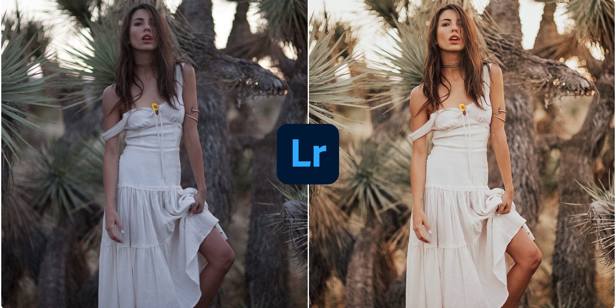 The Best Lightroom Presets For Photographers