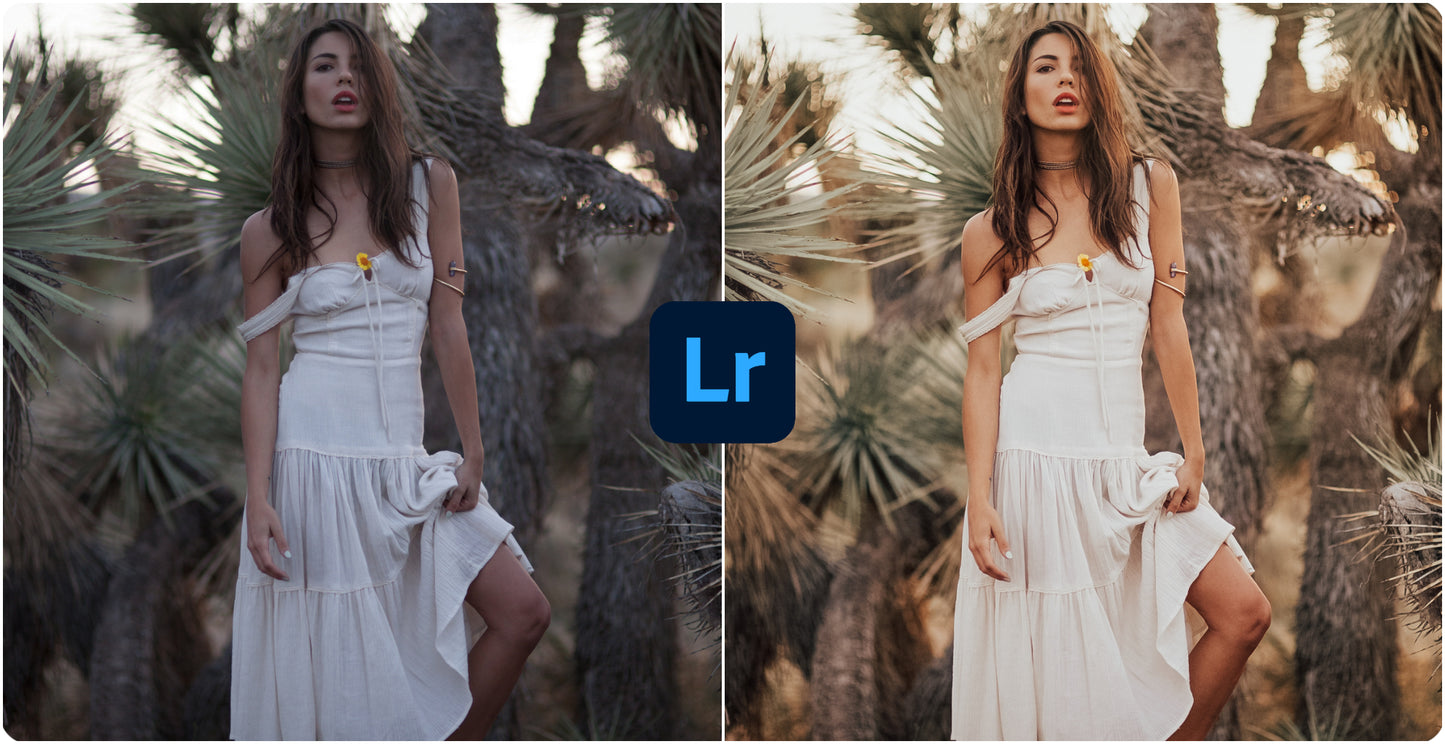 The Best Lightroom Presets For Photographers (2024)