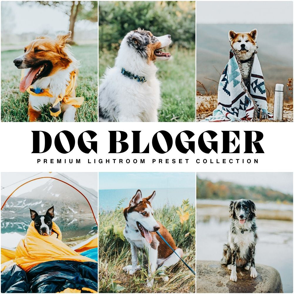 Dog Blogger Lightroom Presets Lou And Marks Presets