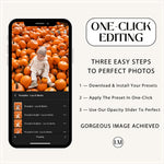 The Best Fall Lightroom Presets Bundle By Lou And Marks Presets Top Presets Mobile