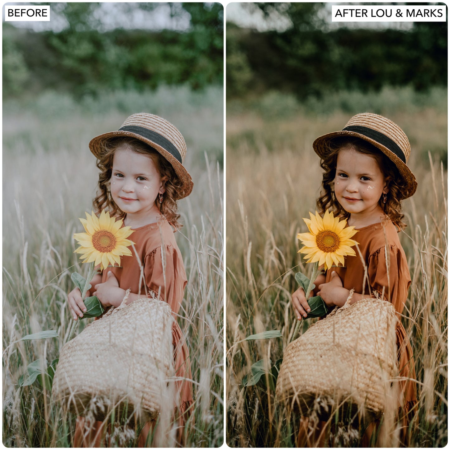 Load image into Gallery viewer, Rustic Fall Presets
