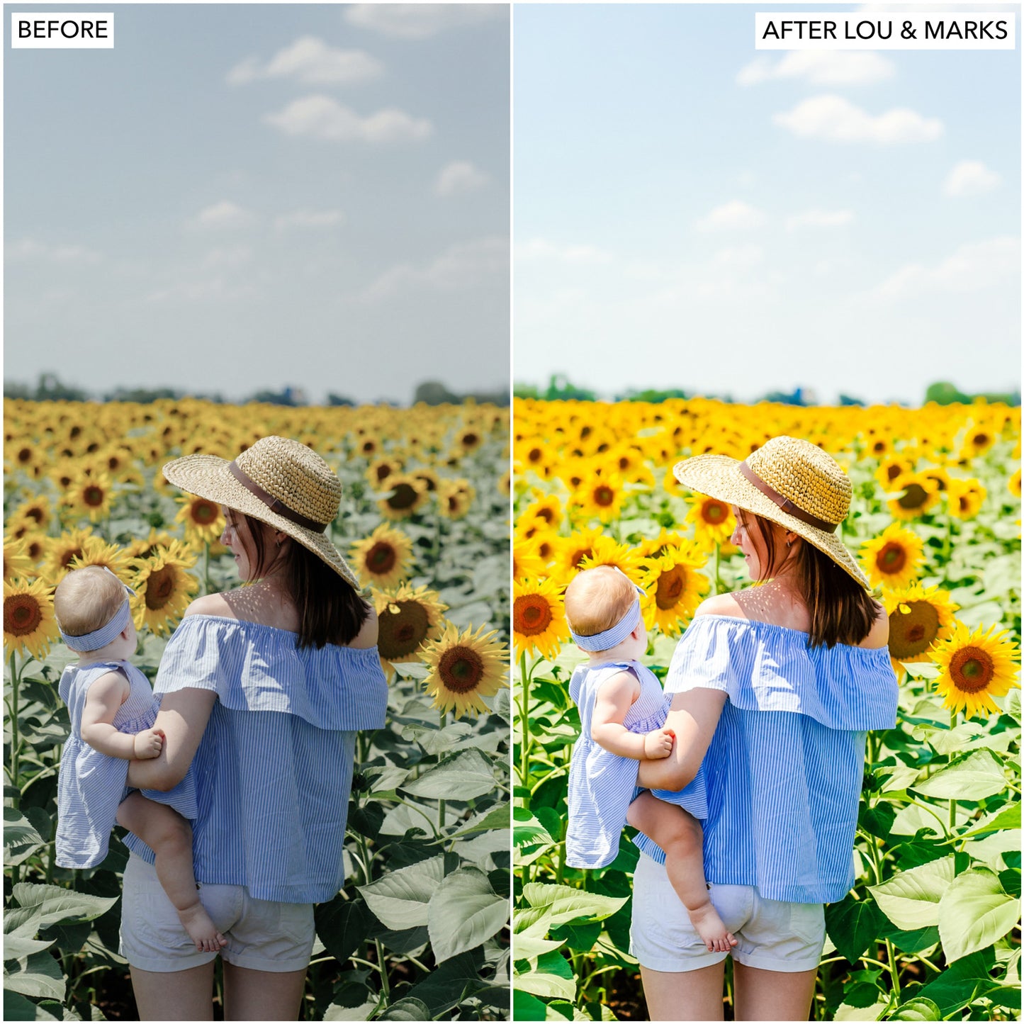 Load image into Gallery viewer, Sunflower Presets
