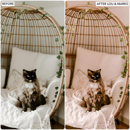 Load image into Gallery viewer, Bohemian Presets
