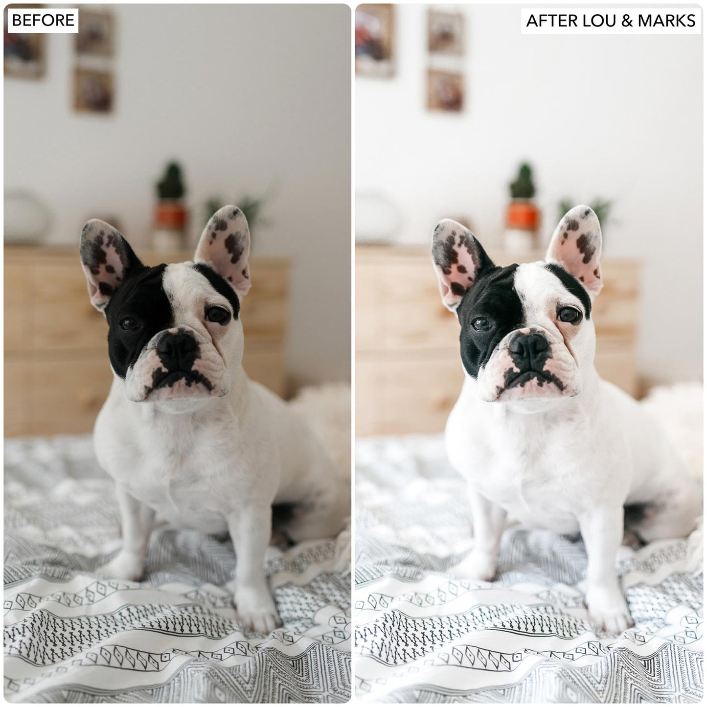 Load image into Gallery viewer, Bright &amp;amp; Airy Presets
