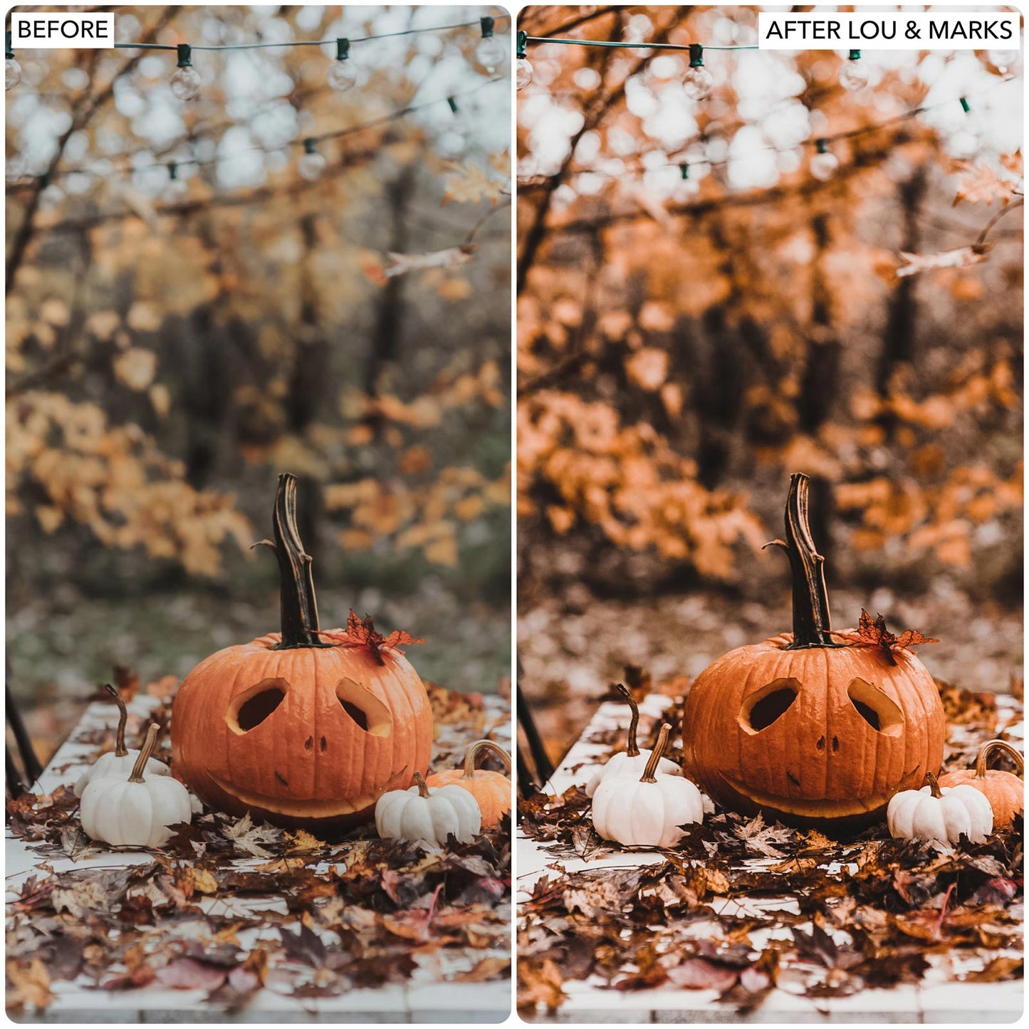 Load image into Gallery viewer, Harvest Time Presets
