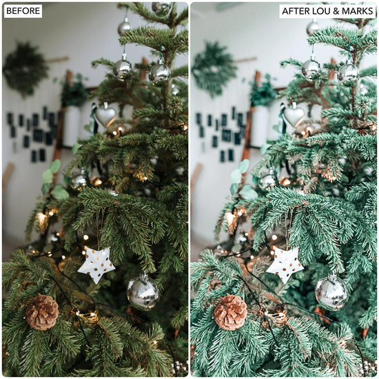 Load image into Gallery viewer, Holiday Lights Presets
