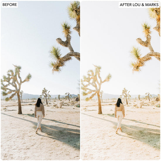 Joshua Tree Presets