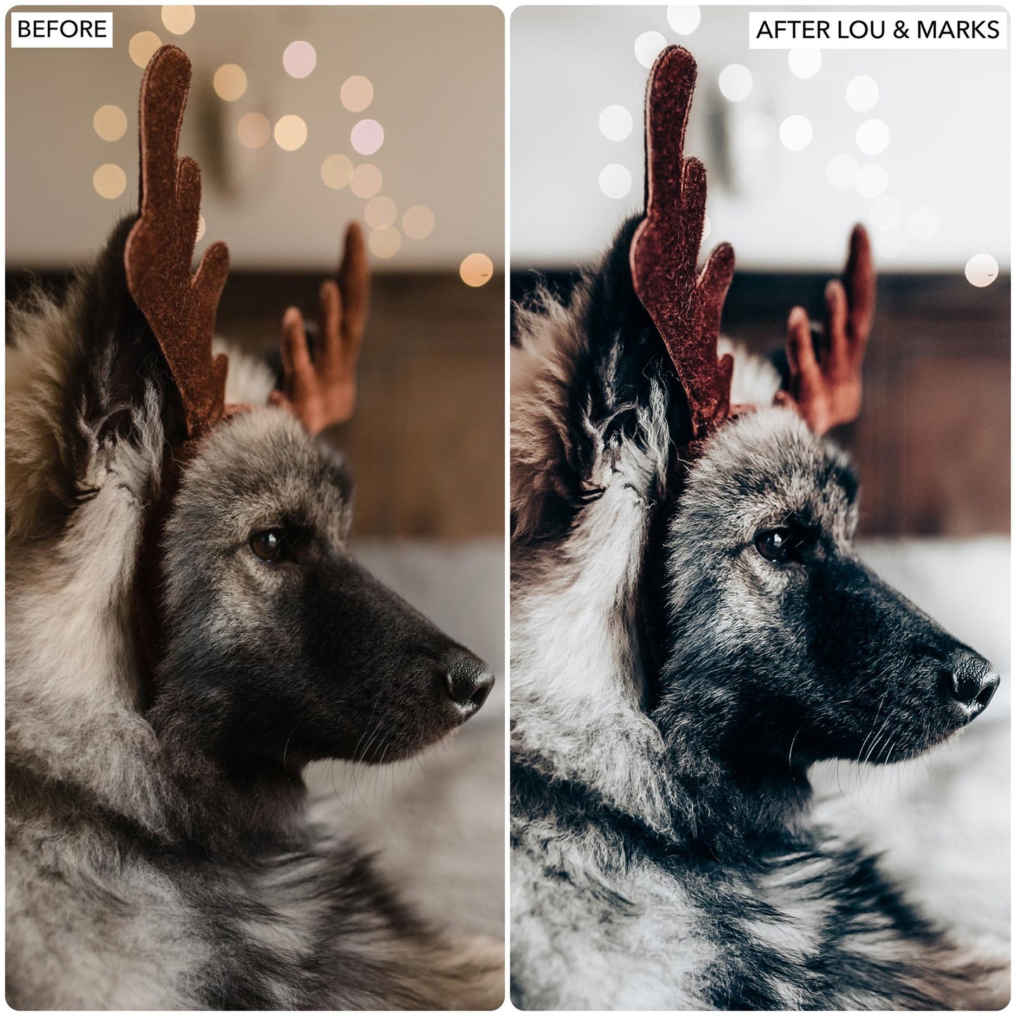Mulled Wine Presets