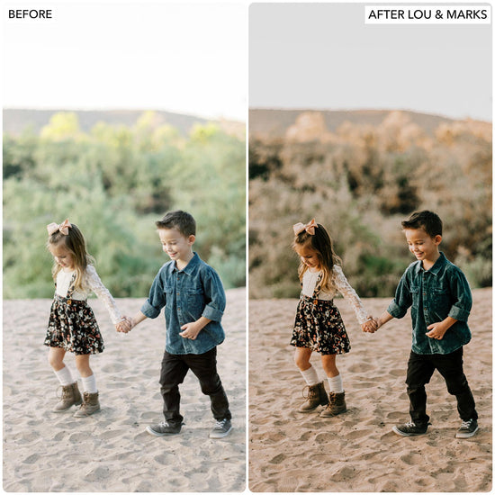 Muted Tones Presets