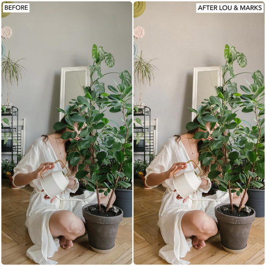 No Filter Presets