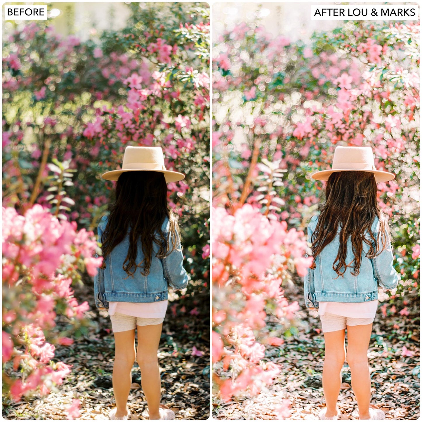 Load image into Gallery viewer, Pastel Blogger Presets
