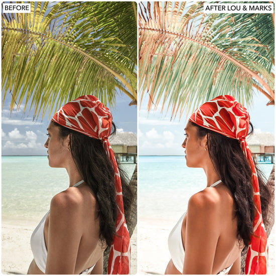 Tropics Presets