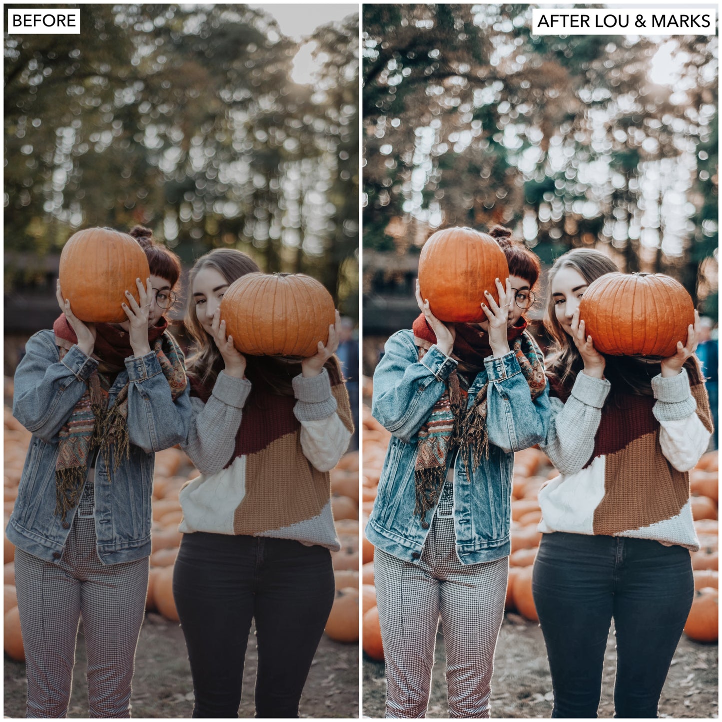Load image into Gallery viewer, Trick Or Treat Presets
