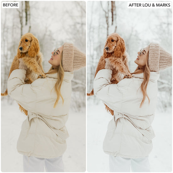 Load image into Gallery viewer, White Mocha Presets
