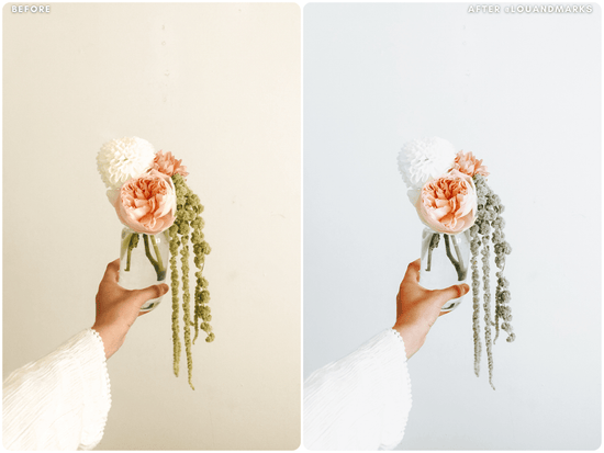 Load image into Gallery viewer, Aloe Vera Presets - Lou &amp;amp; Marks Presets
