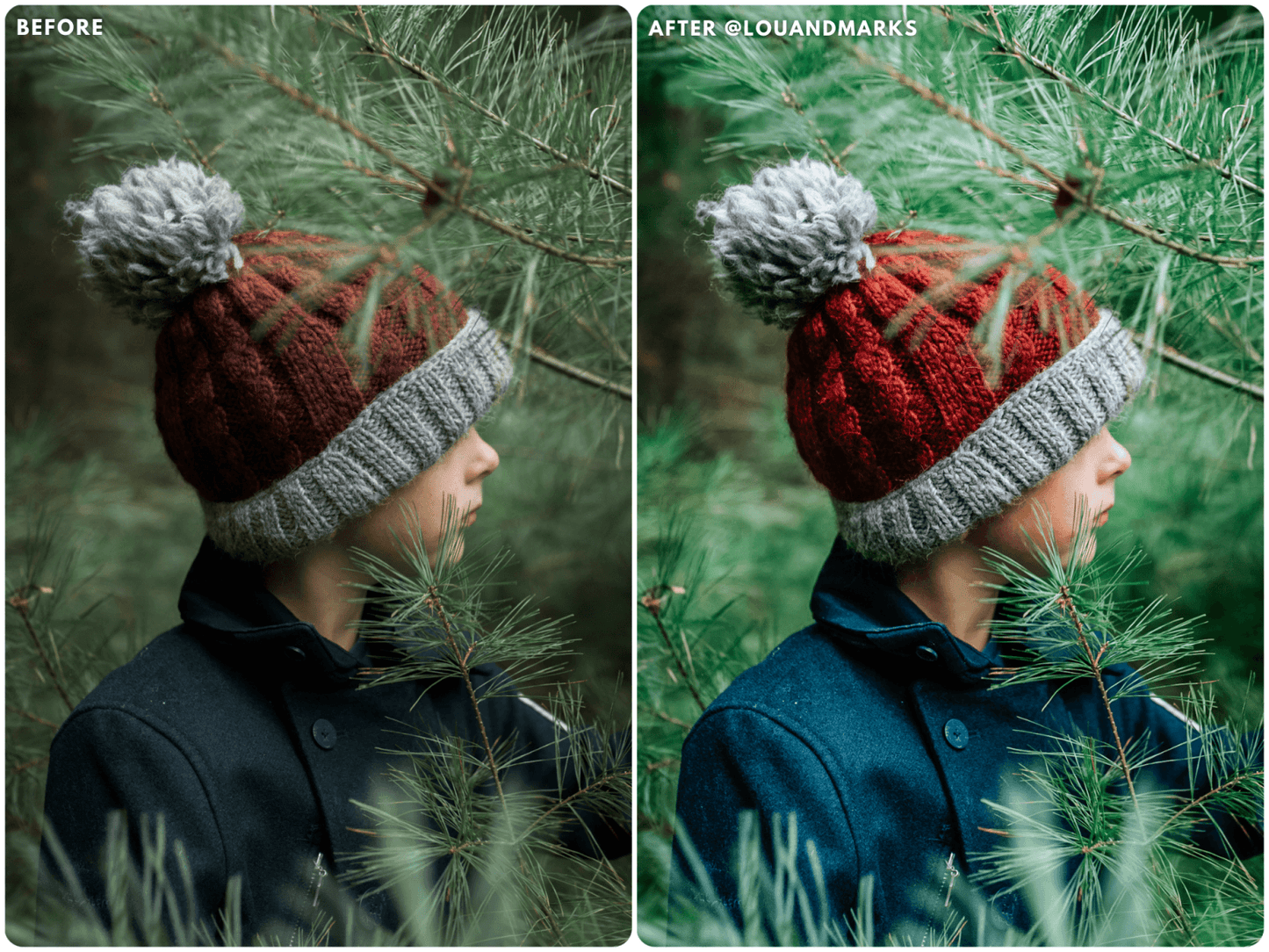 Evergreen Presets - Lou & Marks Presets