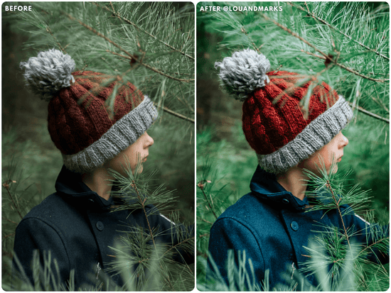 Evergreen Presets - Lou & Marks Presets