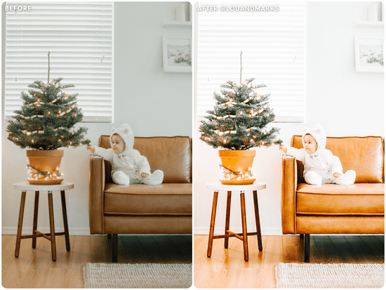 Load image into Gallery viewer, Gingerbread Presets - Lou &amp;amp; Marks Presets
