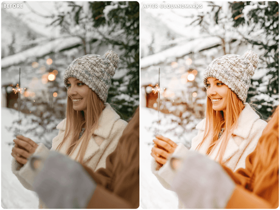 Gingerbread Presets - Lou & Marks Presets