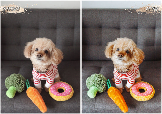 Load image into Gallery viewer, Dog Blogger Presets
