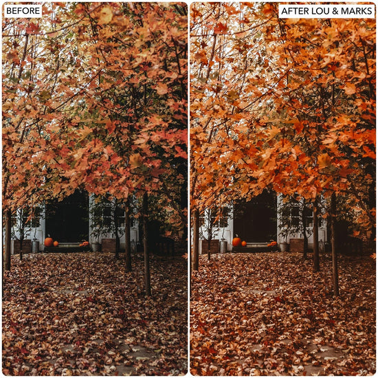 Load image into Gallery viewer, October Rust Presets - Lou &amp;amp; Marks Presets
