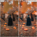 Trick Or Treat Presets - Lou & Marks Presets