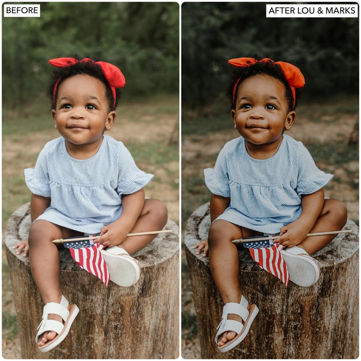 Woodlands Presets - Lou & Marks Presets